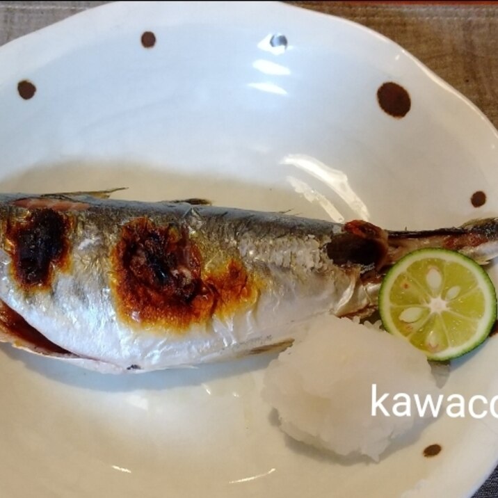 簡単 まるあじの塩焼き レシピ 作り方 By Kawacchi 楽天レシピ 簡単 まるあじの塩焼き レシピ 作り方 By Kawacchi 楽天レシピ